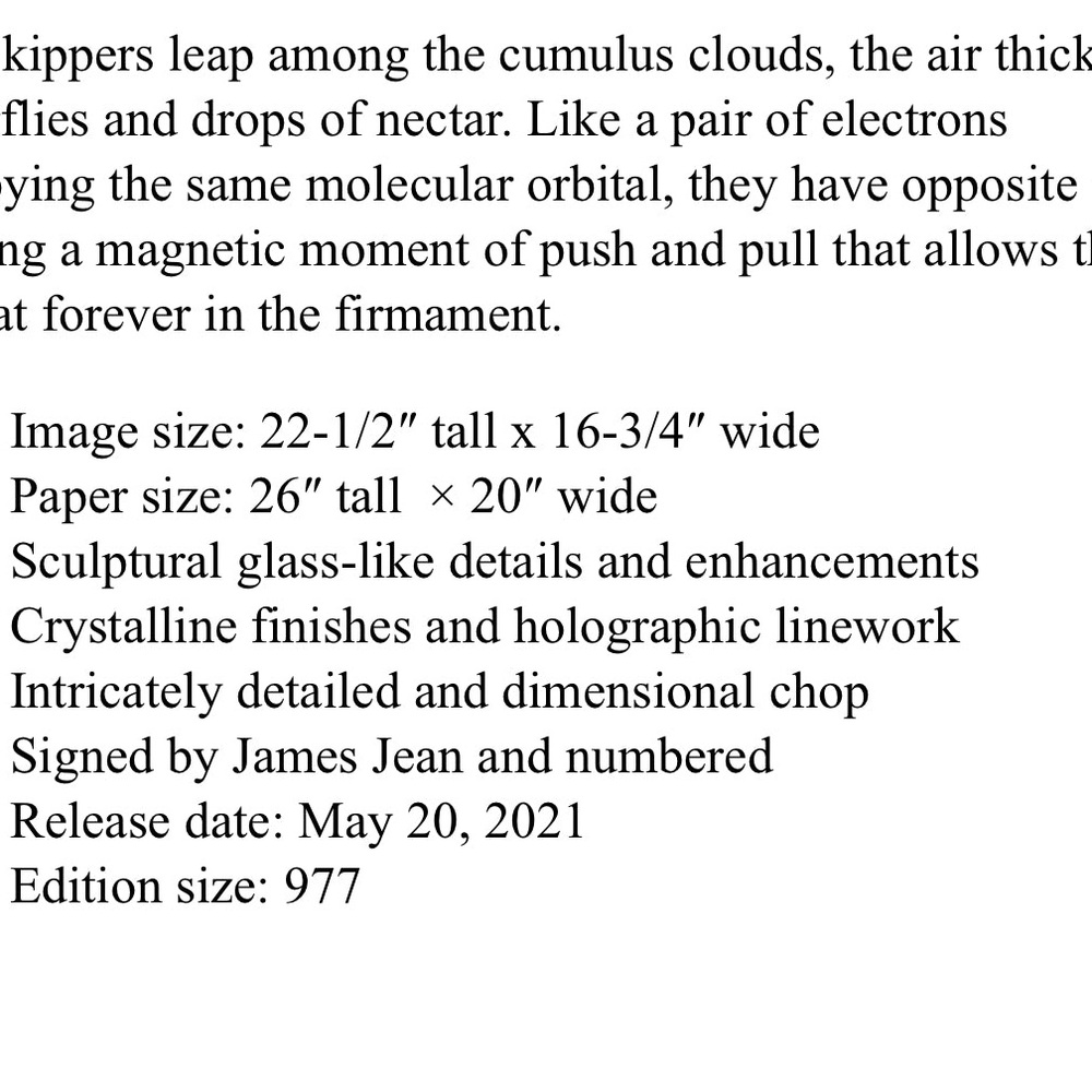 James Jeans Art Print - Intricate Design with Black and White Accents - Picture 4 of 7